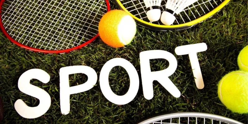 66Lottery Sports - A premier online sportsbook for cricket and football betting