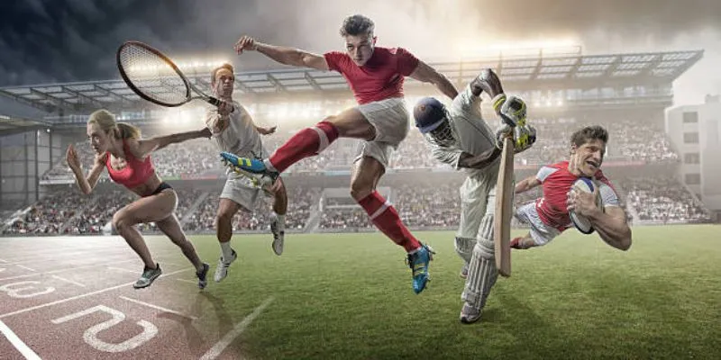 Cricket betting on the IPL and other major tournaments at 66Lottery Sports